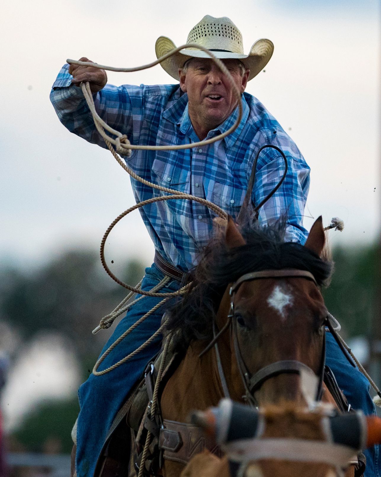 Yellowstone River Roundup